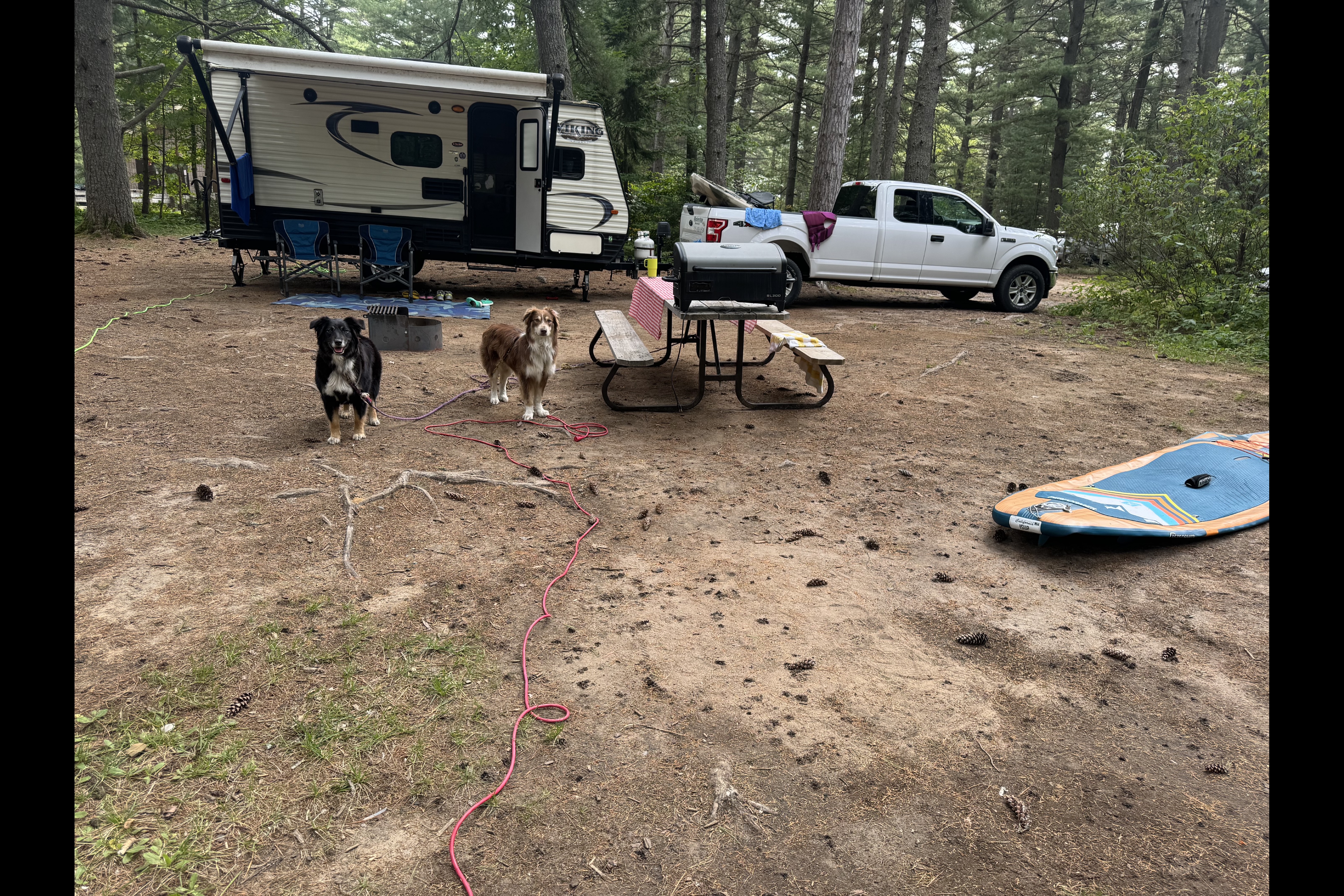 Shayne's Forest River 17bh Travel Trailer