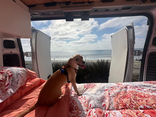 SoCal Van Life
