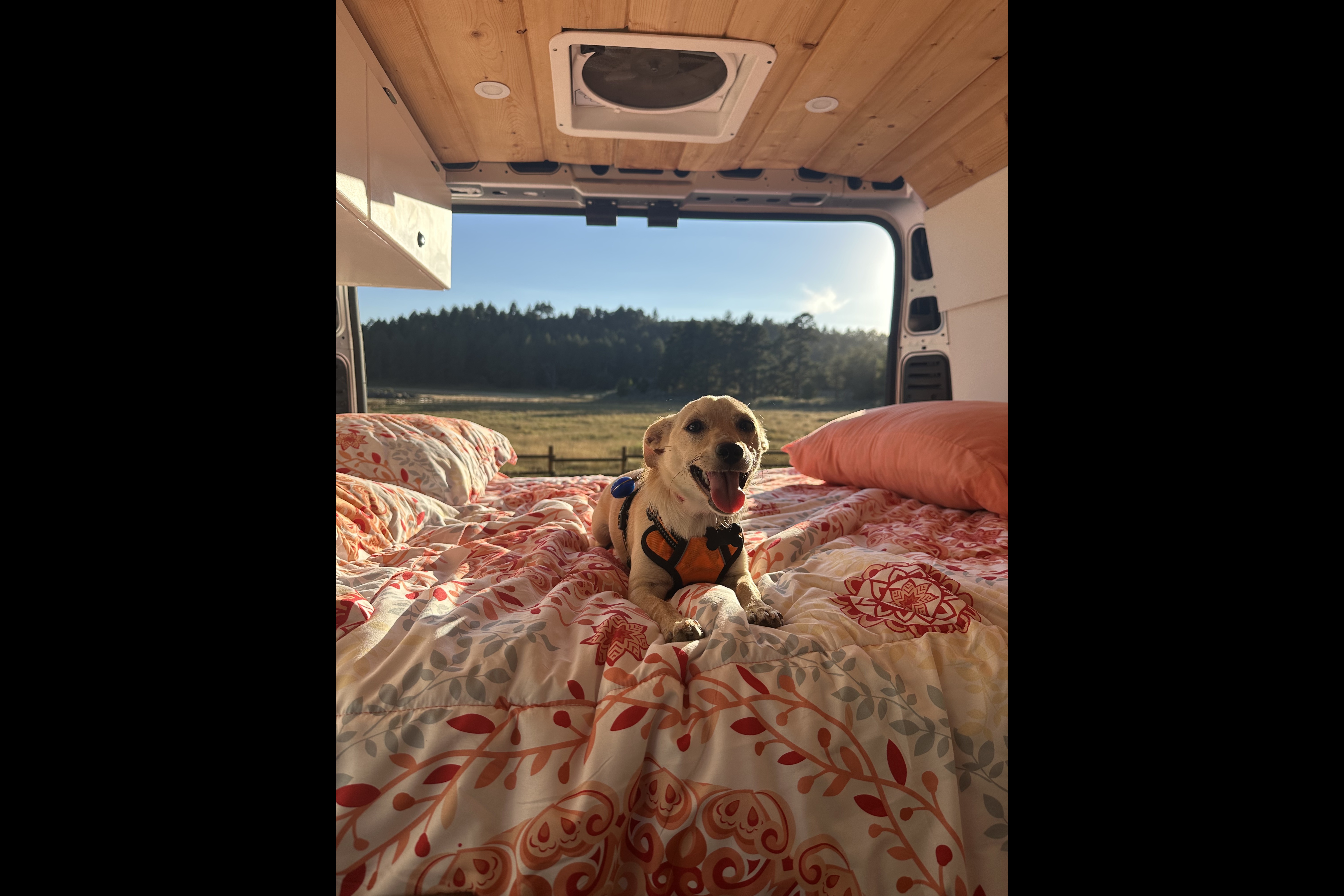 SoCal Van Life
