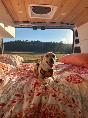 SoCal Van Life