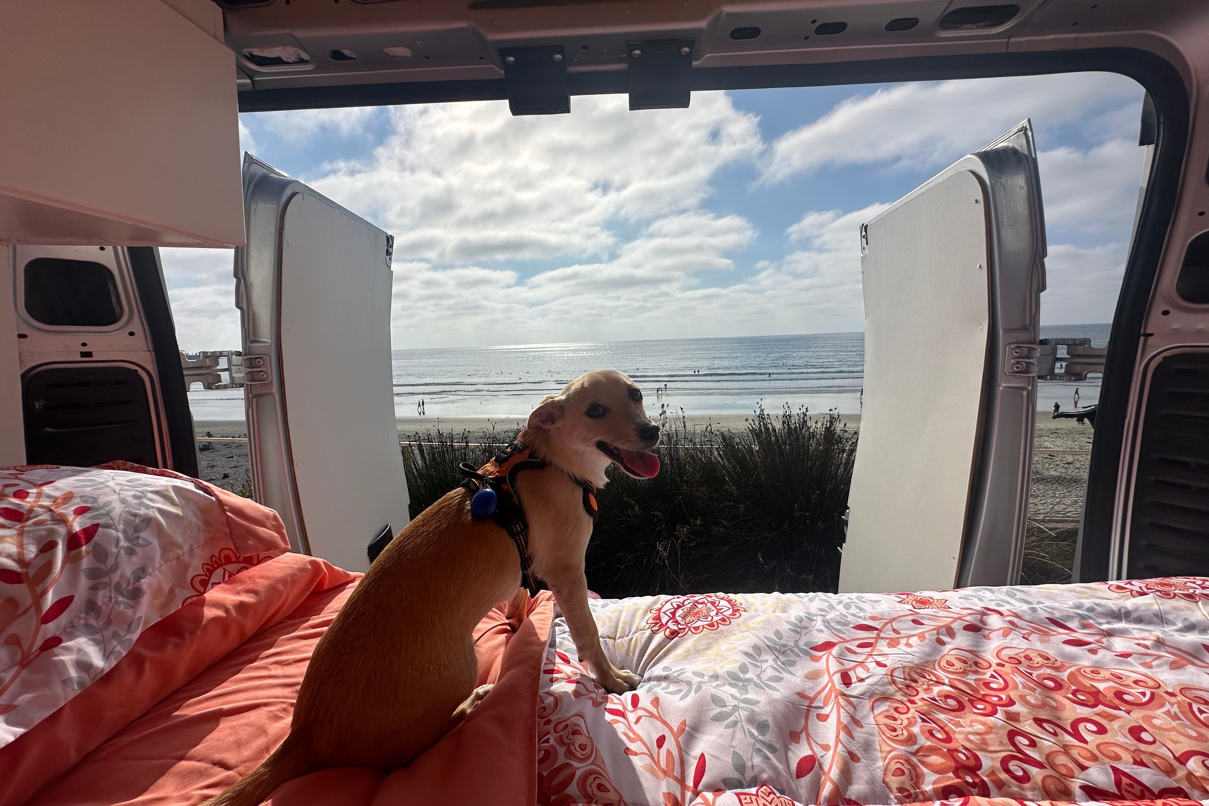 SoCal Van Life