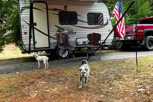 Jayco 14RB Travel Trailer 16' ( Free Quemahoming Dam delivery)