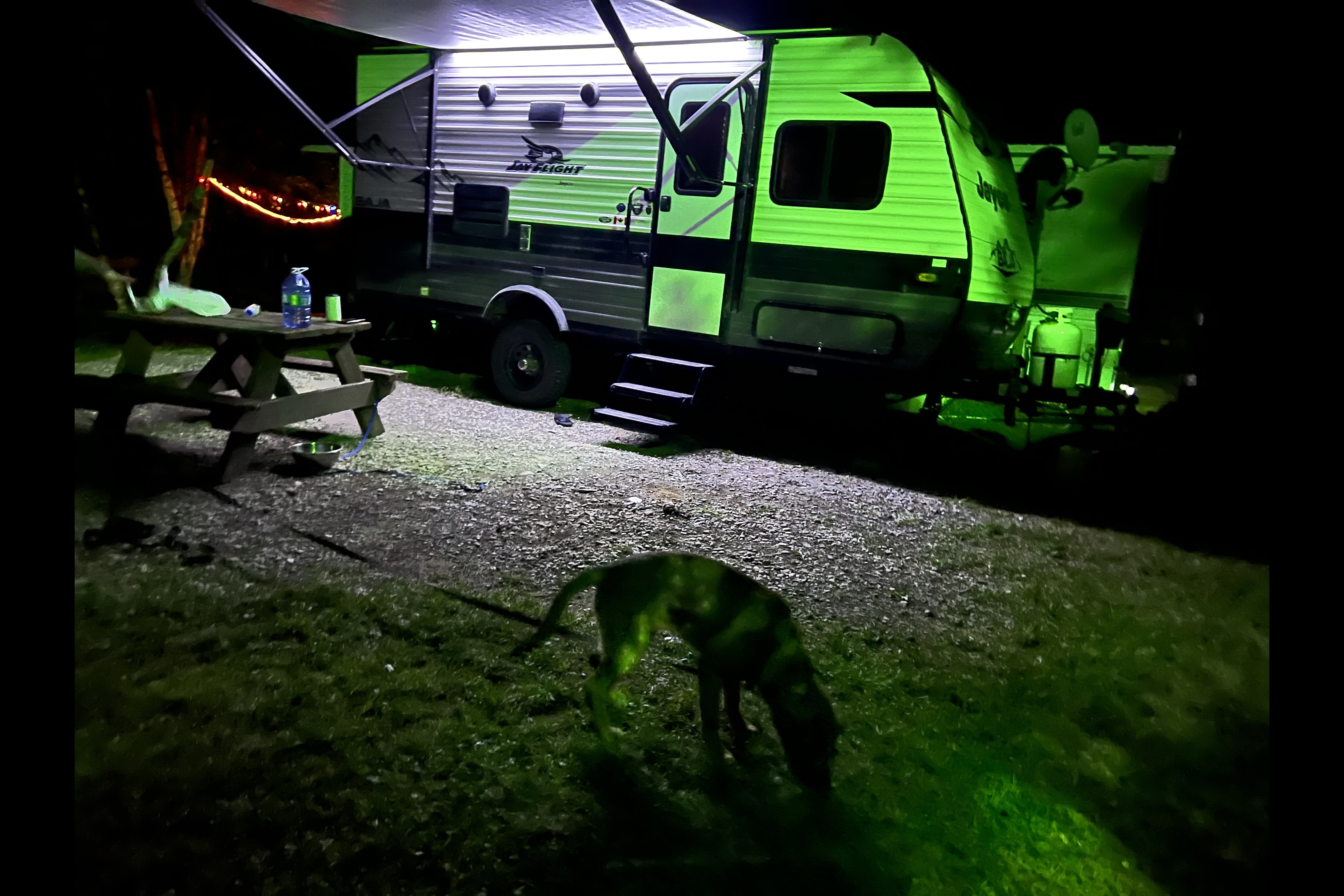 Kyla and Brian’s Baja