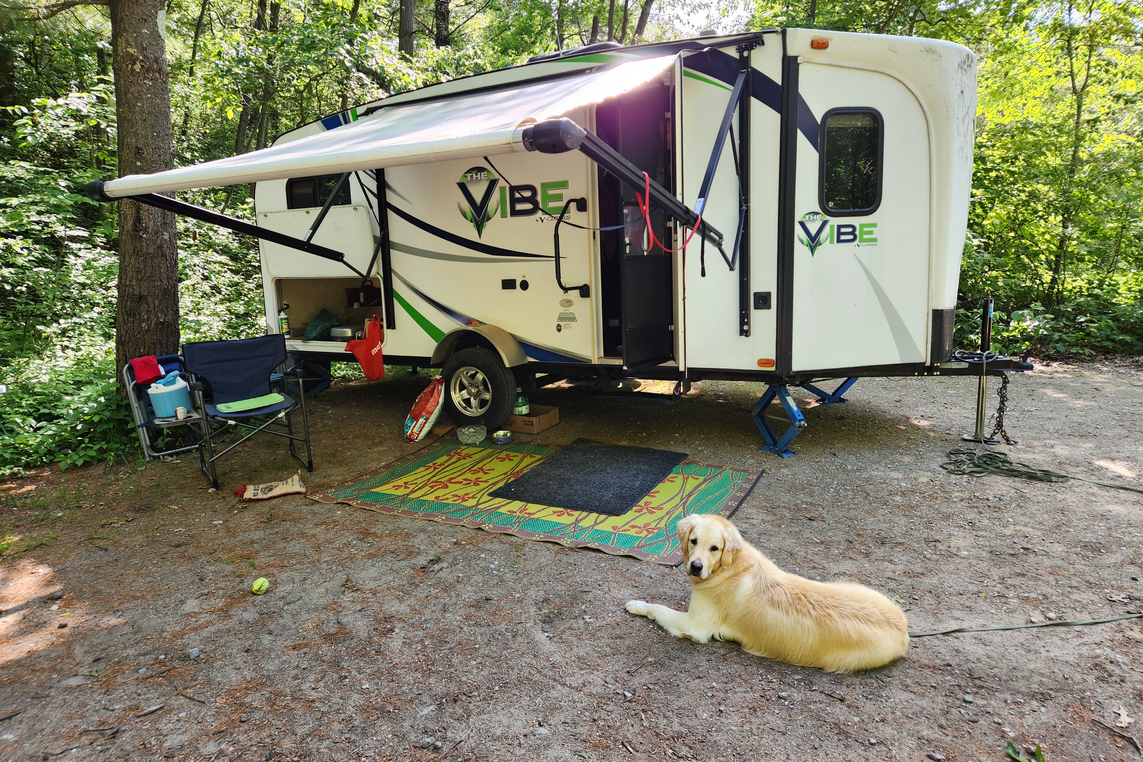 Lovies' Forest River VIBE Travel Trailer