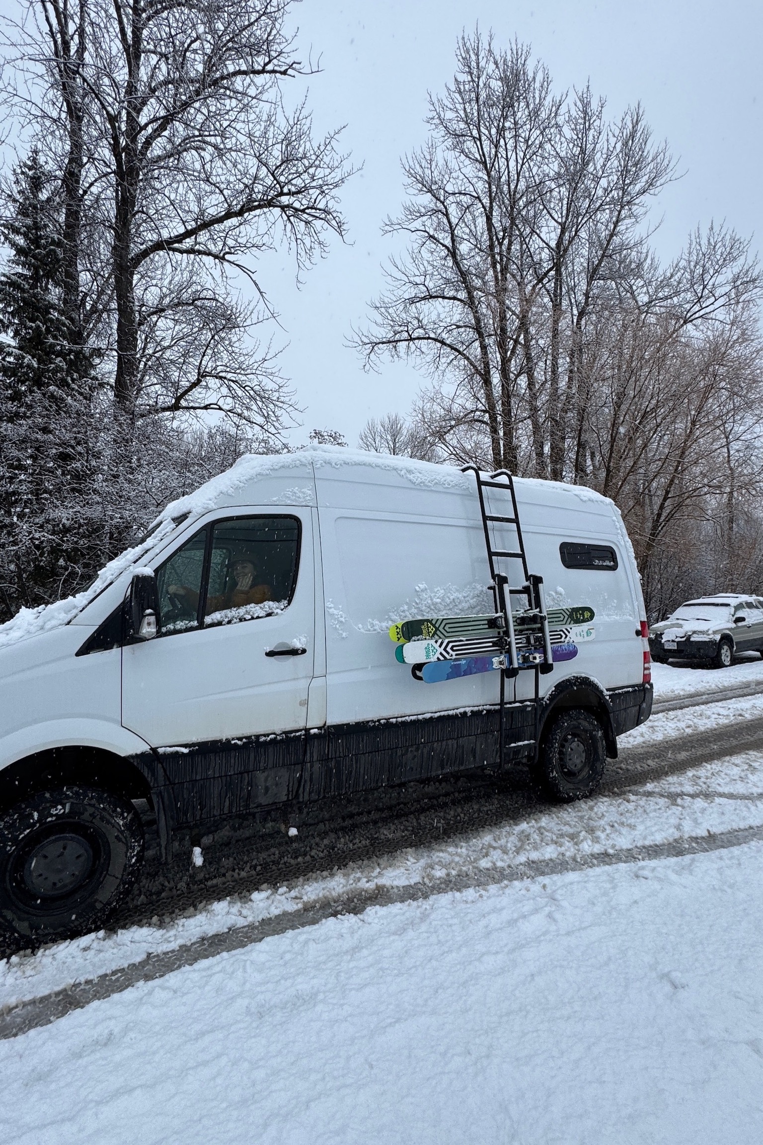 The Alpine Summit Cruiser | 4x4 Sprinter with Rooftop Deck