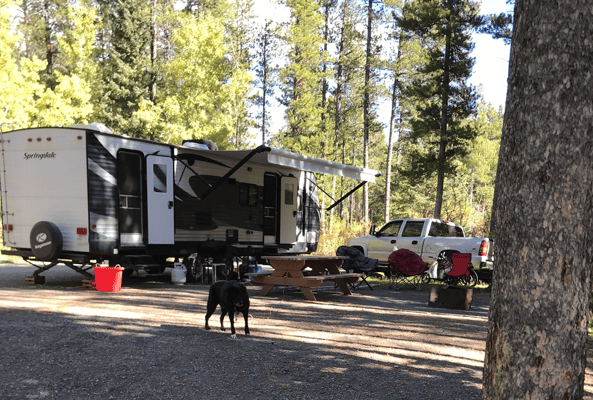 Springdale 282bh Travel Trailer