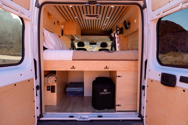 “Salt” - 2023 Custom RAM Promaster