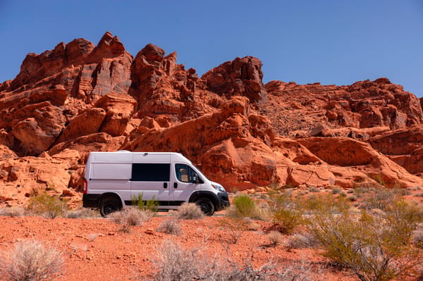 “Salt” - 2023 Custom RAM Promaster