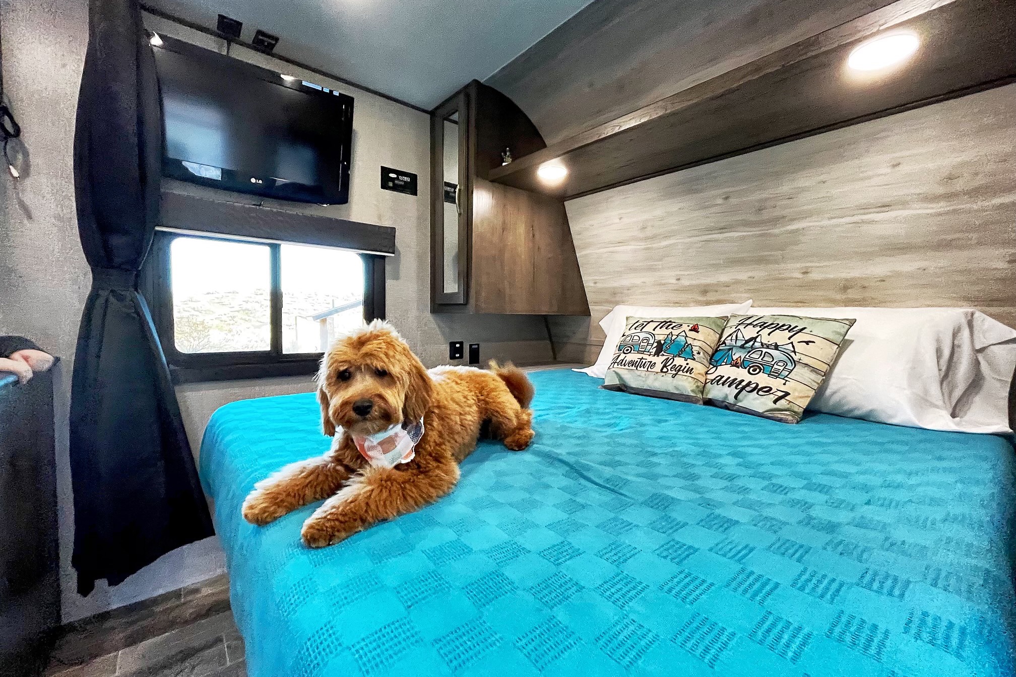 Cactus Flower Jayco Jayfeather 224BH Travel Trailer