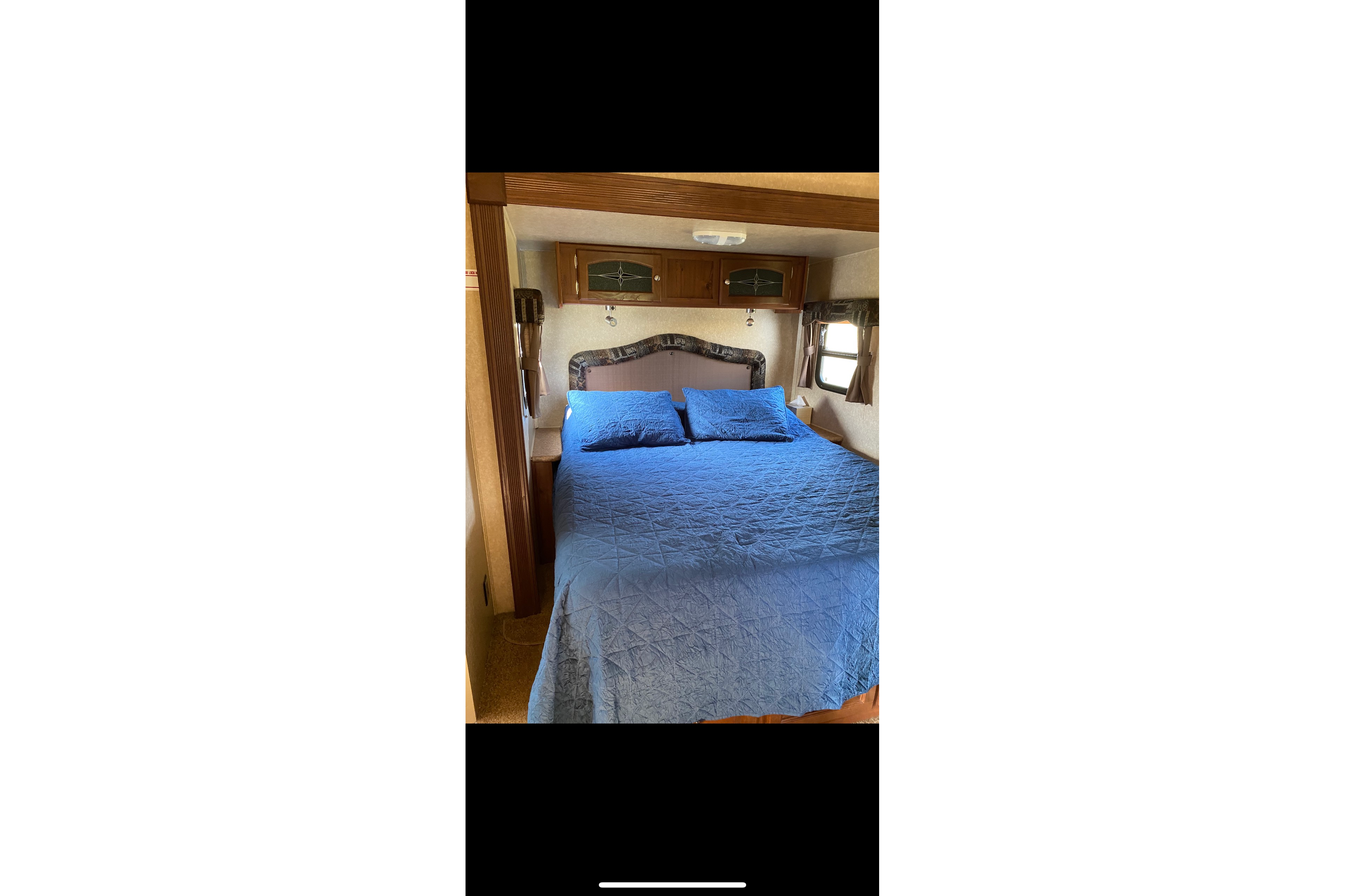 Felicia's Forest River Cvc Travel Trailer