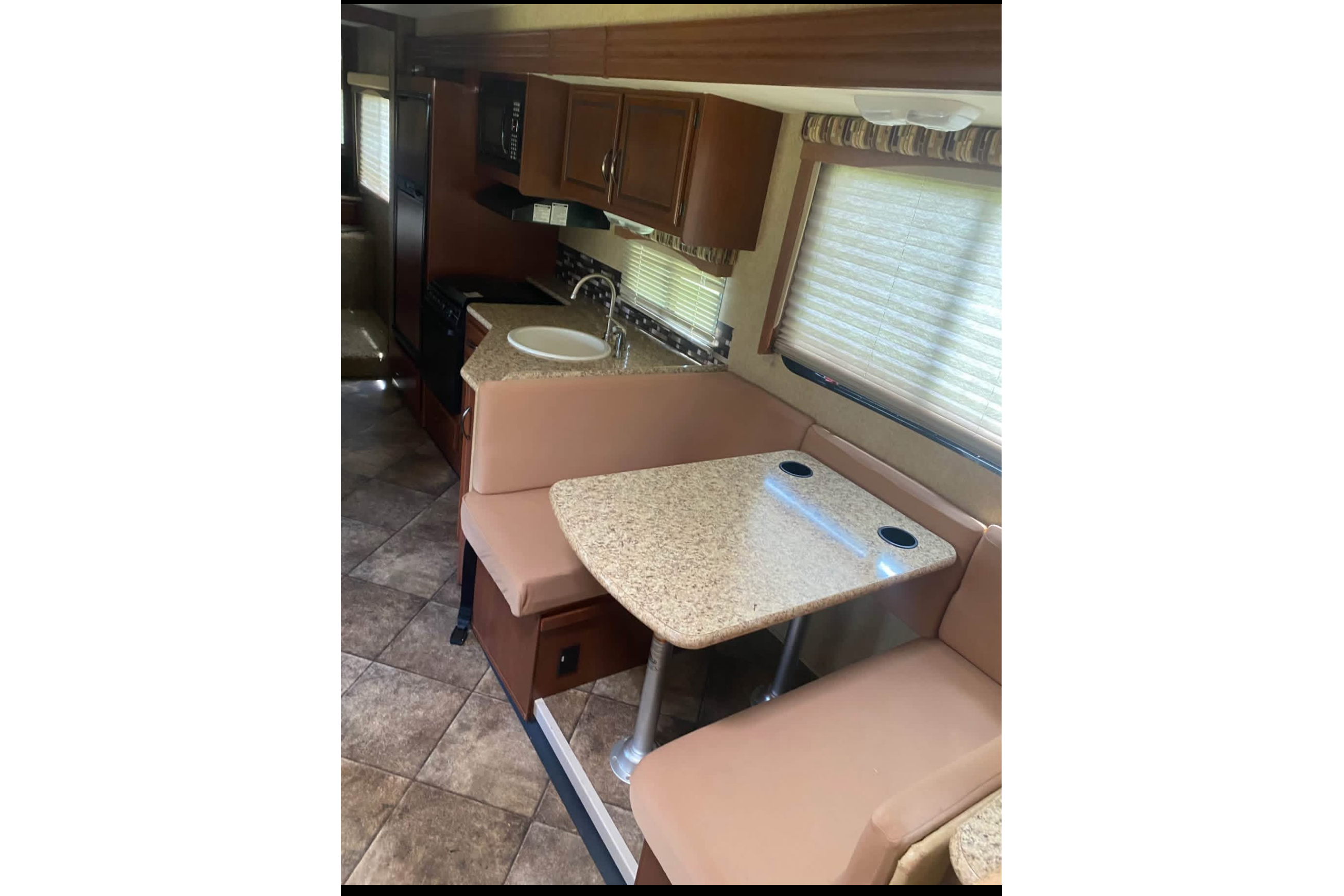 Dan's Thor Motor Coach Ace 29.2 Class A