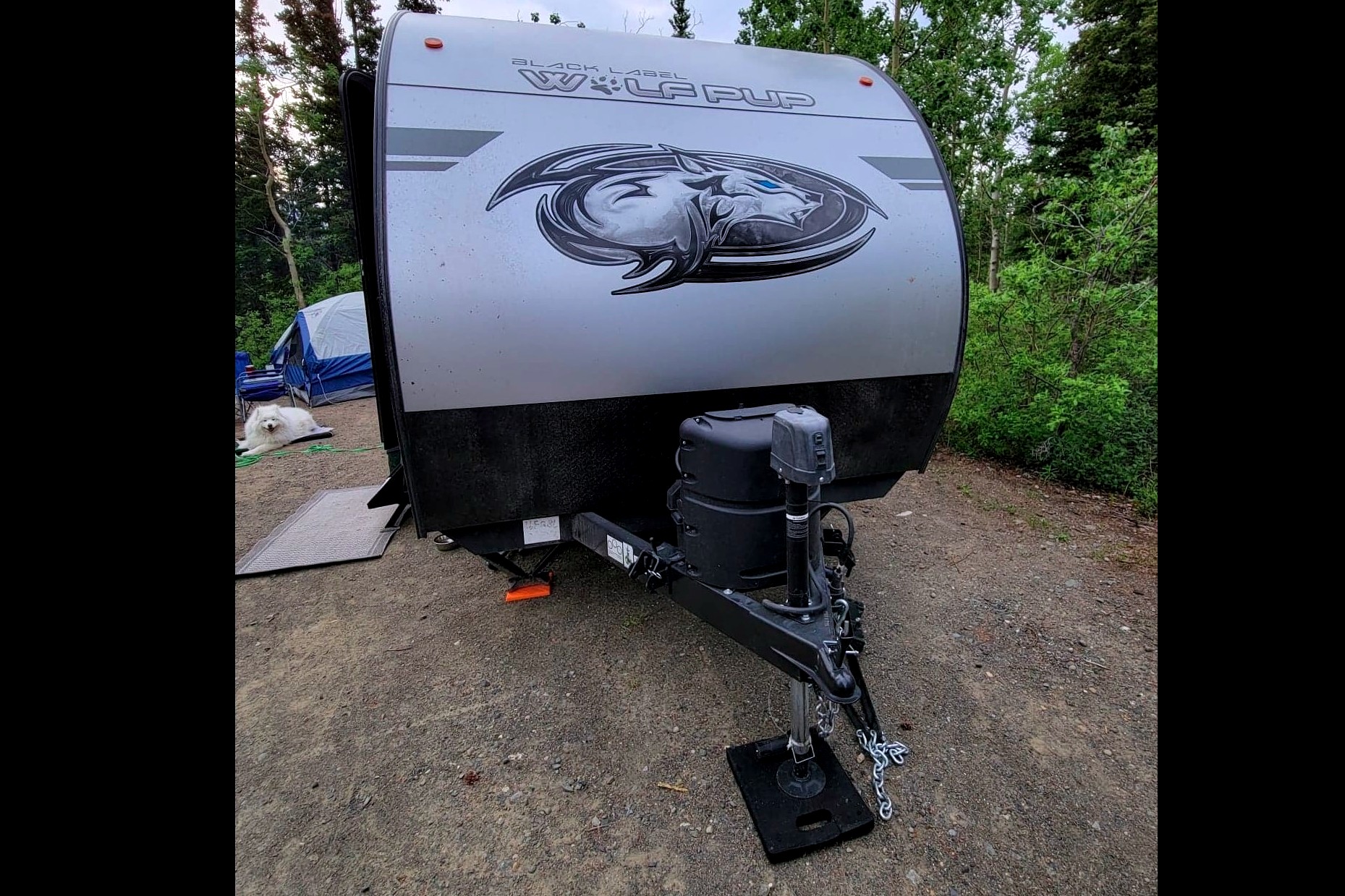 Leigh and Kenzie's Forest River Cherokee Wolf Pup 16FQBL Travel Trailer
