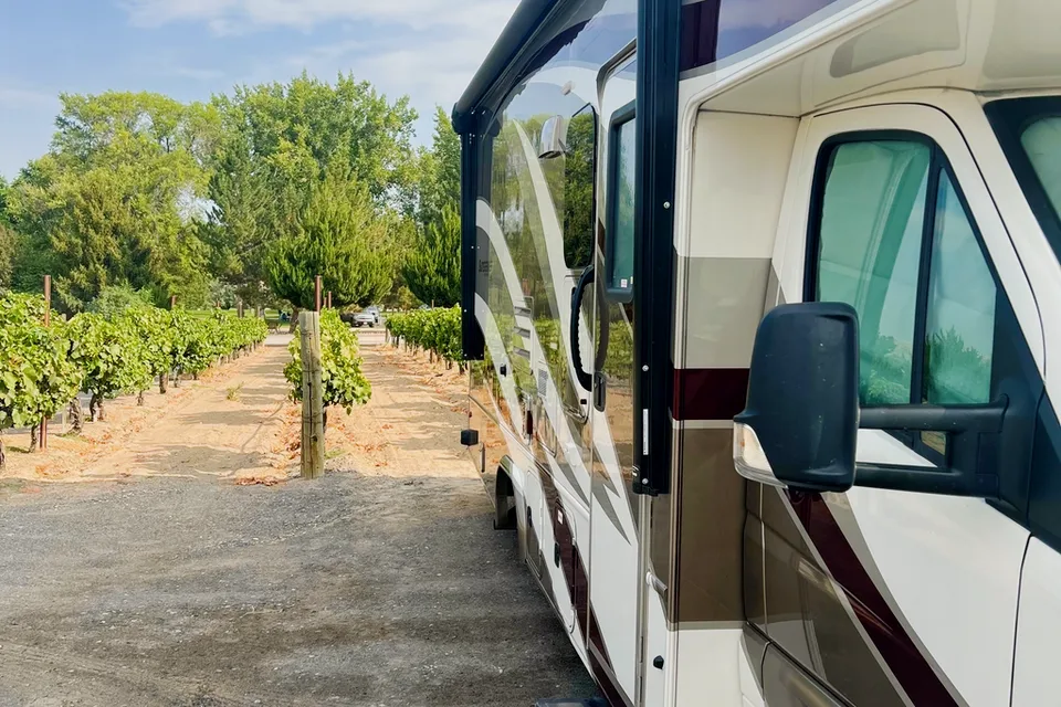 Yellowstone Cruiser 