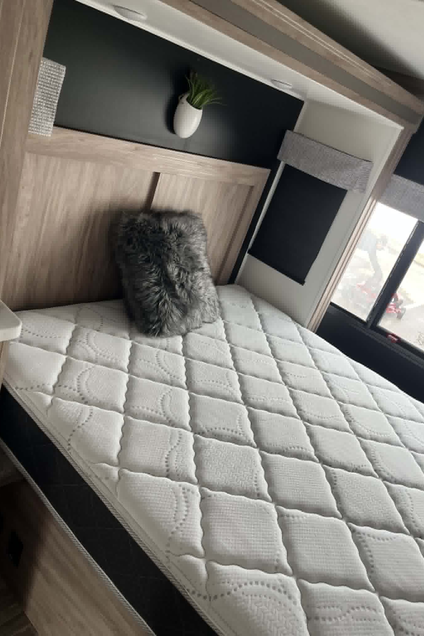 Forest River Sunseeker 3010DS Classe C 31 pieds