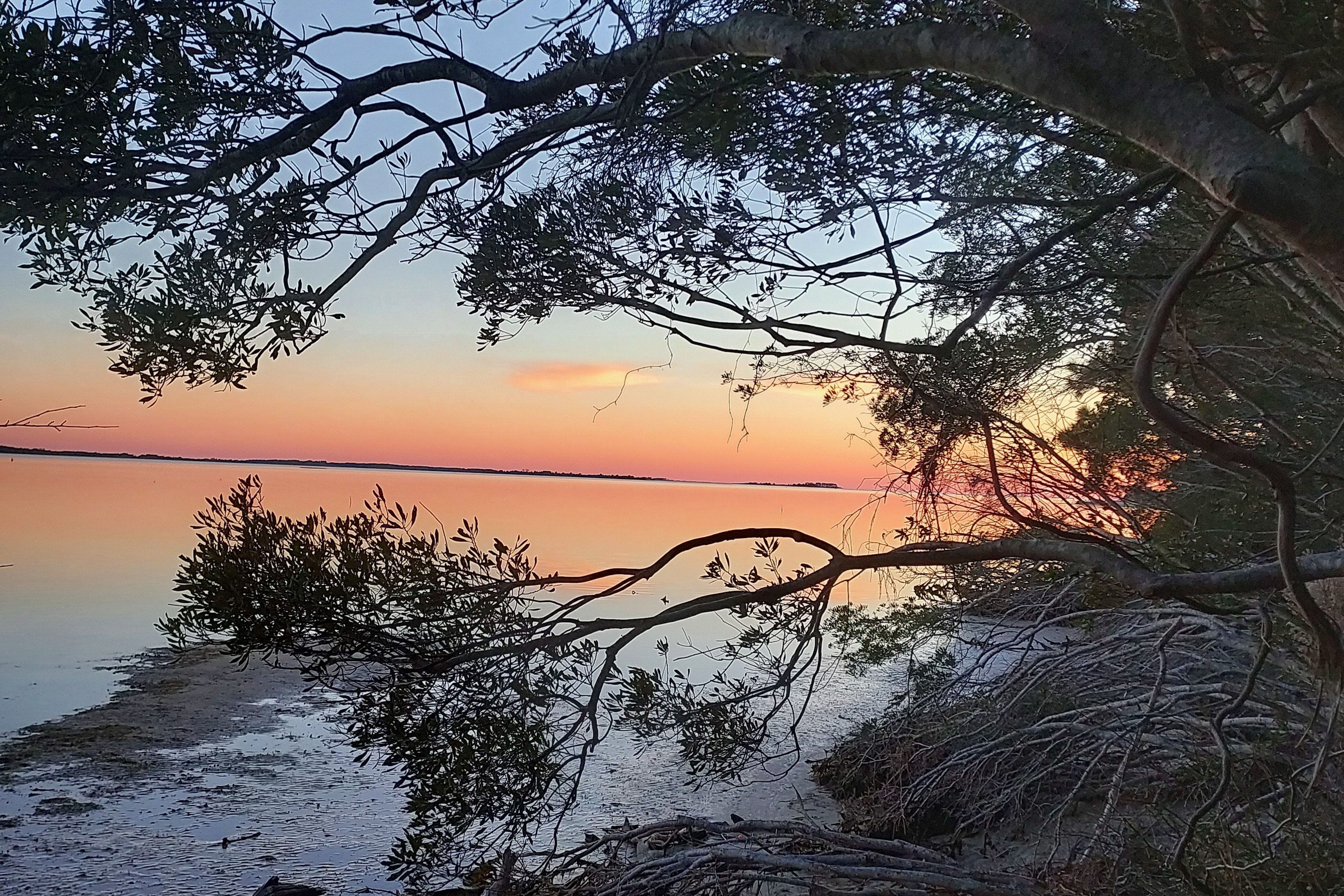 Salty Days ~ Easy Nights
