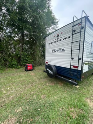 Brand New Palomino Puma 2025