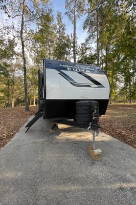 Brand New Palomino Puma 2025