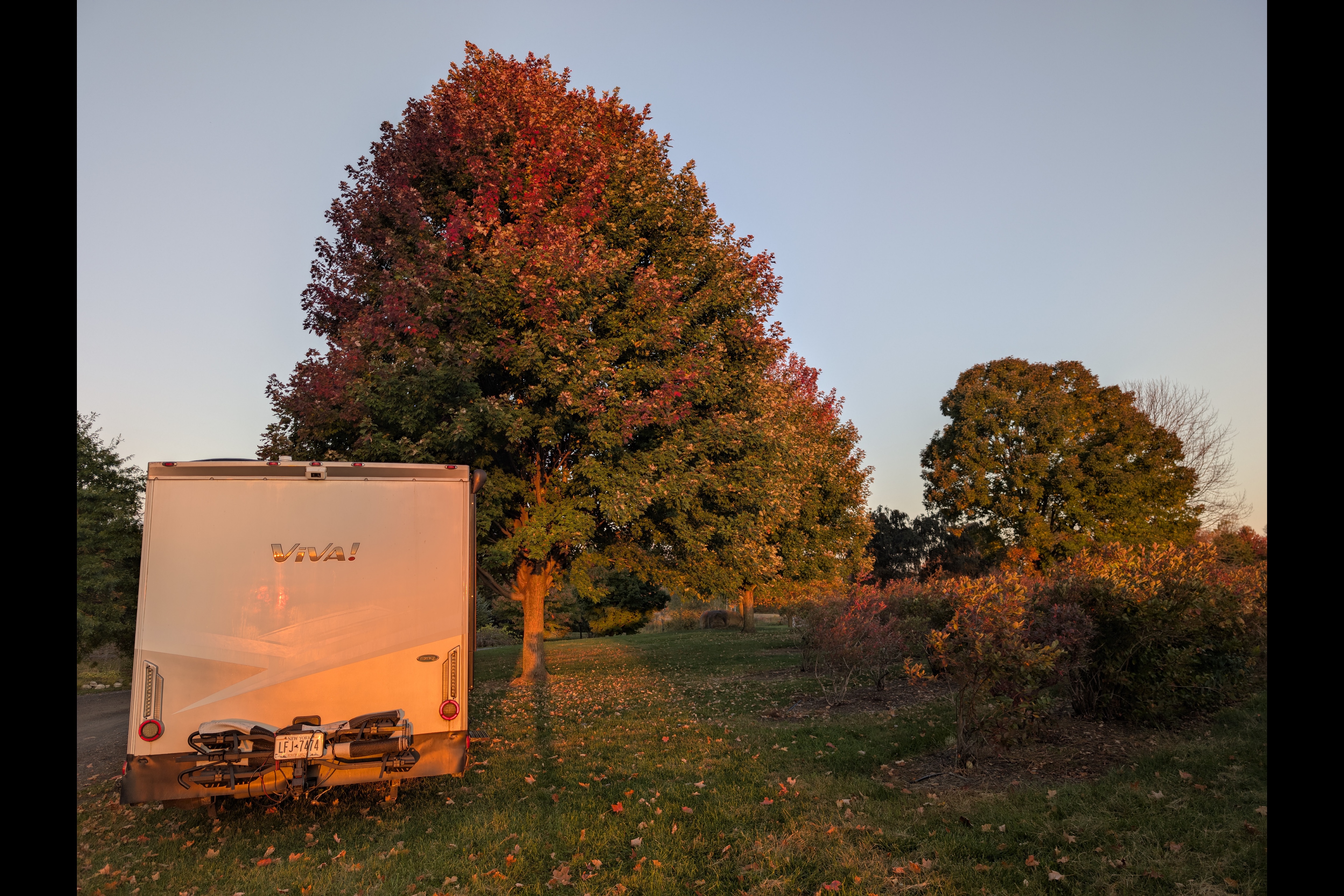 Itasca Viva! 23L — European Chic on Wheels, Ultimate Gas-Sipping, Couple’s Getaway, Class B+