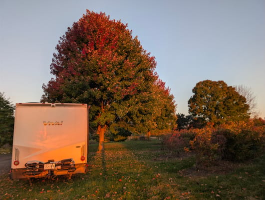 Itasca Viva! 23L — European Chic on Wheels, Ultimate Gas-Sipping, Couple’s Getaway, Class B+