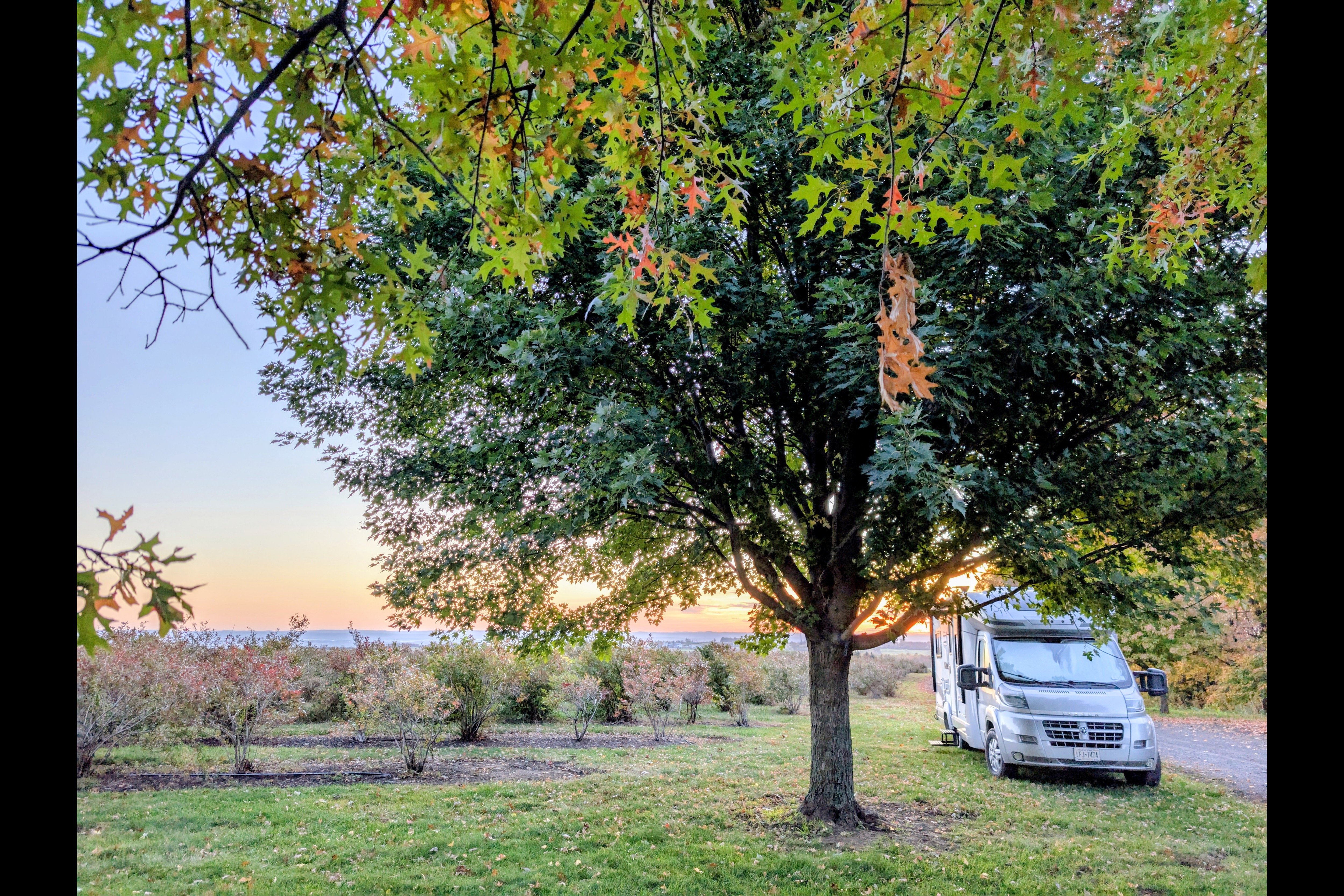 Itasca Viva! 23L — European Chic on Wheels, Ultimate Gas-Sipping, Couple’s Getaway, Class B+
