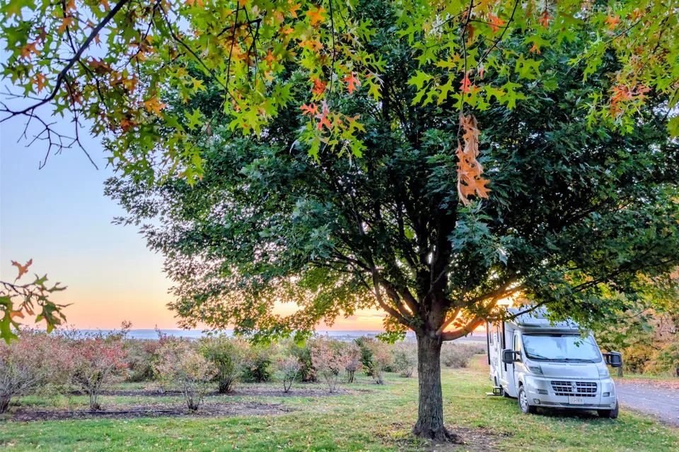 Itasca Viva! 23L — European Chic on Wheels, Ultimate Gas-Sipping, Couple’s Getaway, Class B+