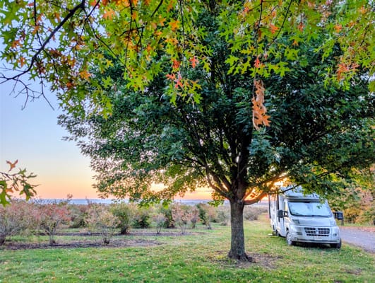 Itasca Viva! 23L — European Chic on Wheels, Ultimate Gas-Sipping, Couple’s Getaway, Class B+
