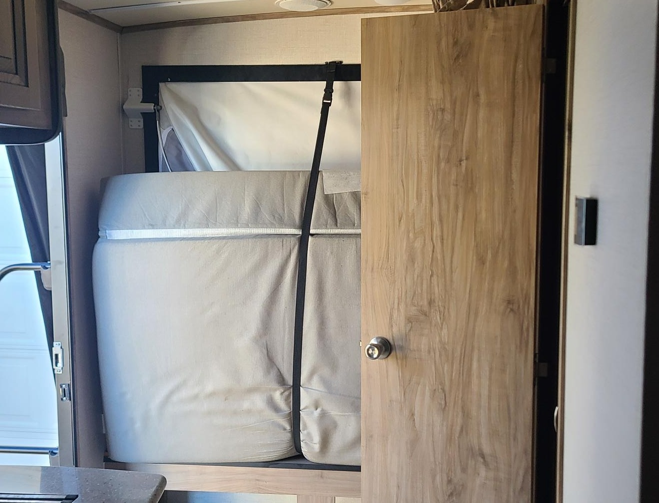 cory's Palomino solaire 163x Hybrid