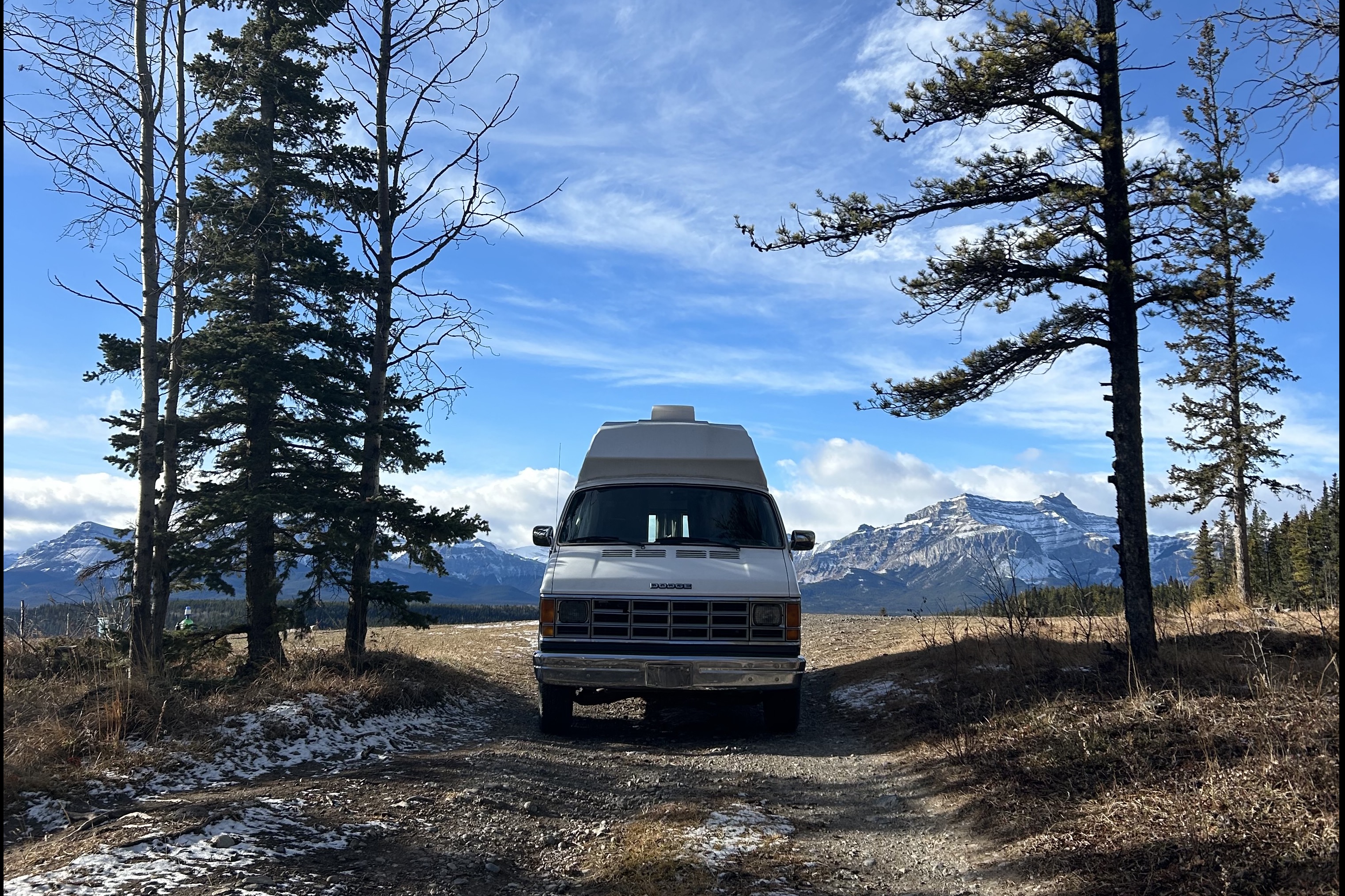 Harvie the Dodge B250