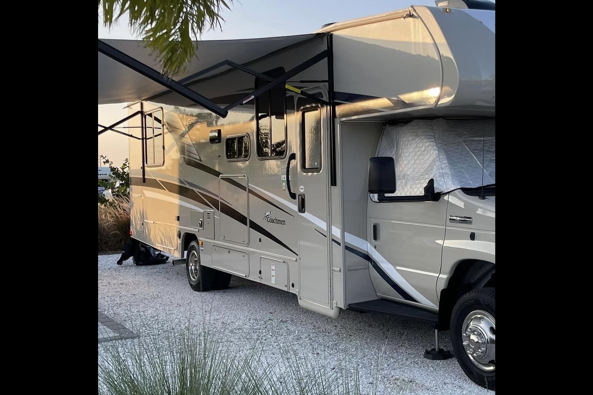 David's Coachmen leprechaun 31.9 MB Class C