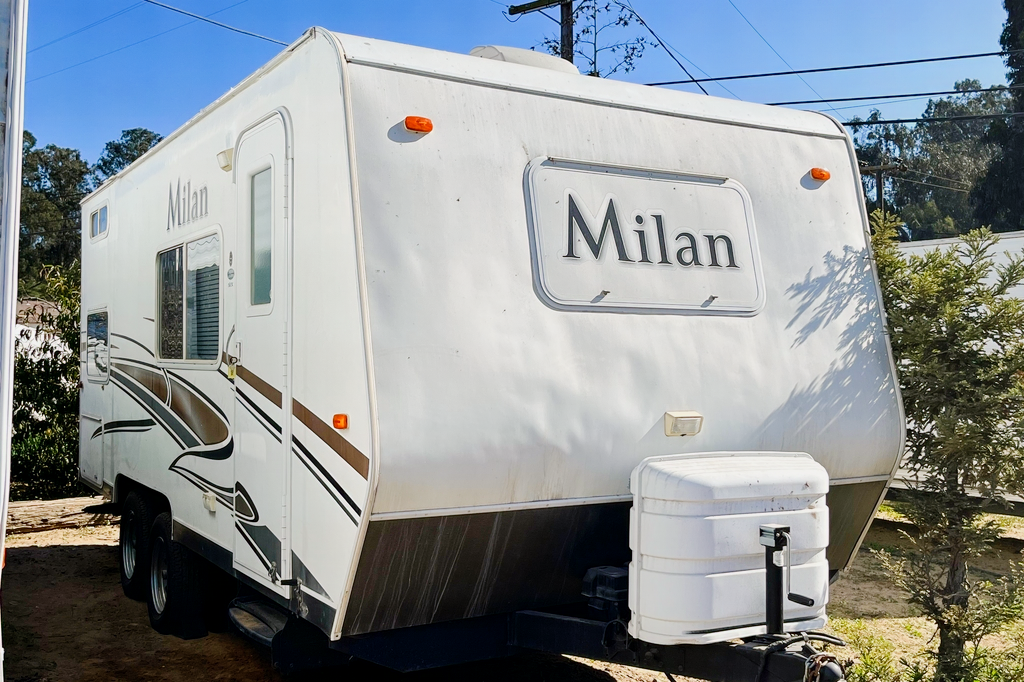 Cozy  Millan