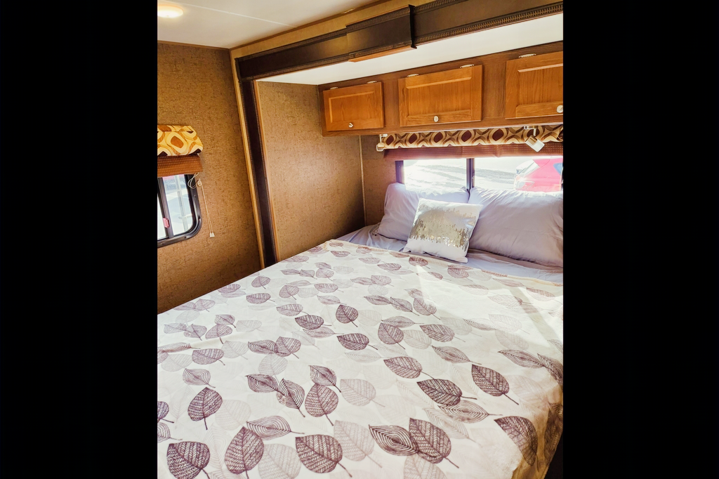 Comfy & Clean Coachmen Leprechaun