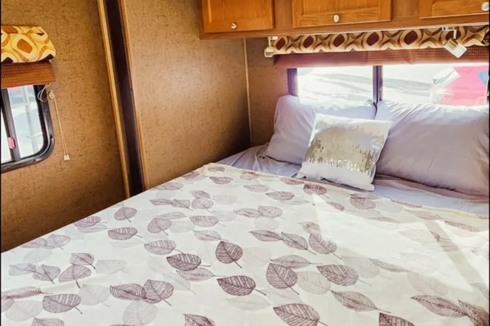 Comfy & Clean Coachmen Leprechaun