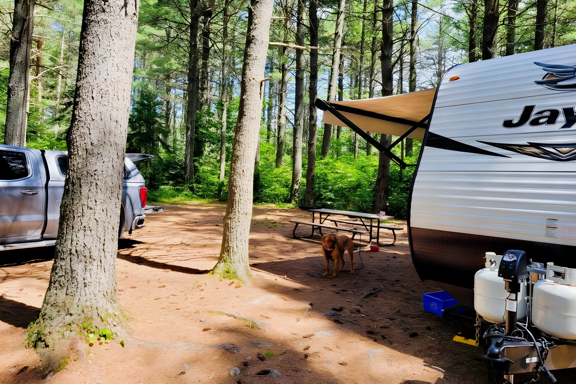 Midnight Sun  2019 Jayco Jay Flight 22ft Pet Friendly