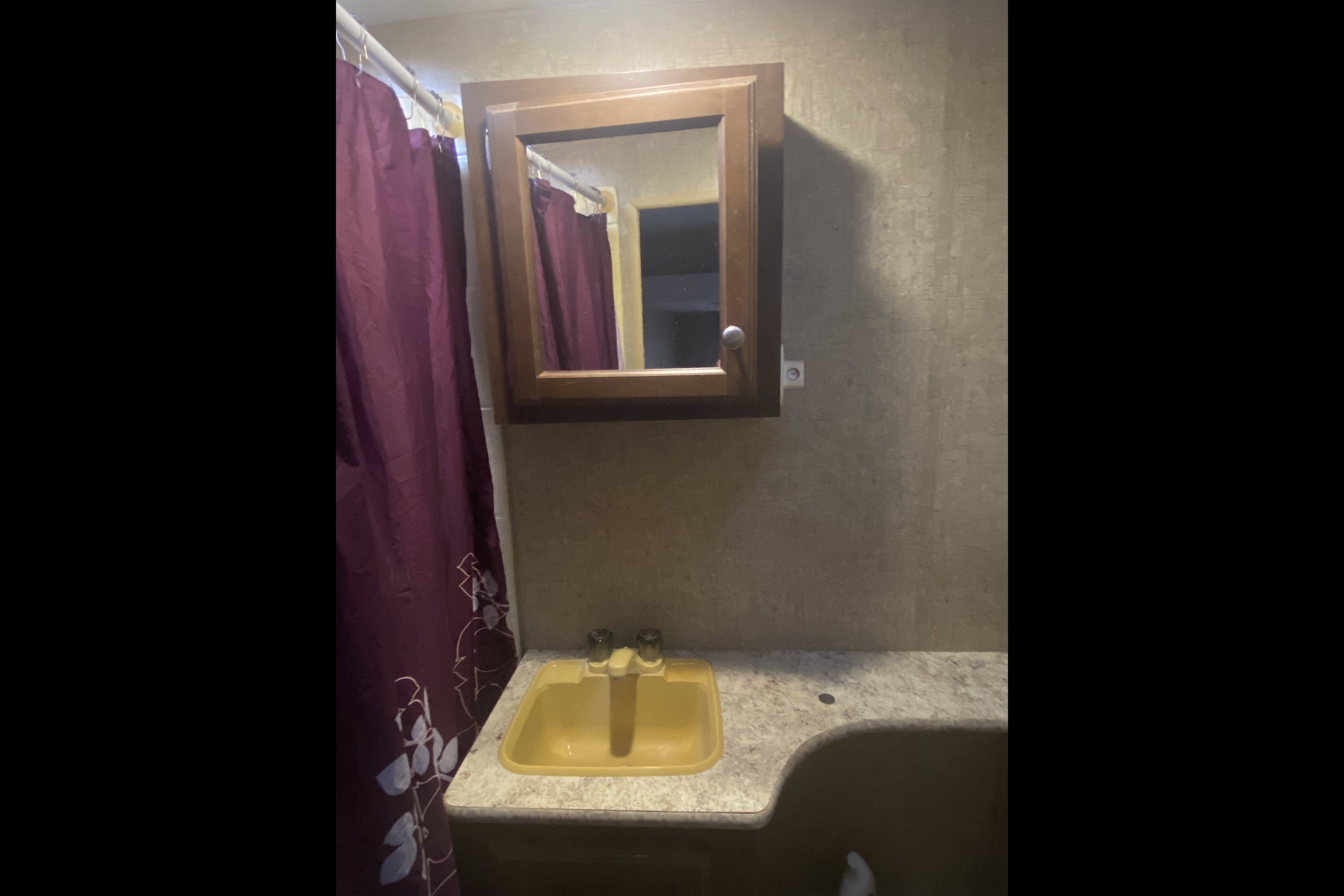 Thomas's Venture RV Sonic lite Travel Trailer