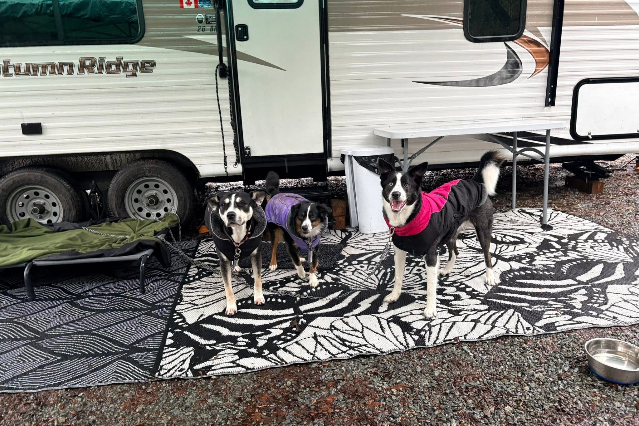 The Wolf Pack's Adventure Trailer