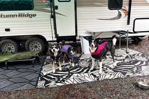 The Wolf Pack's Adventure Trailer