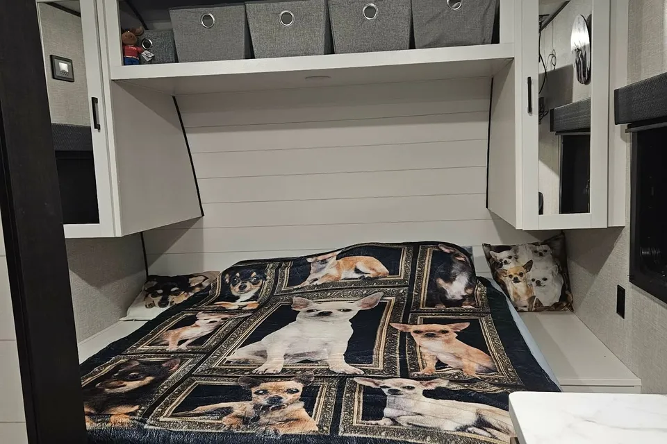 The Chihuahua Mobile