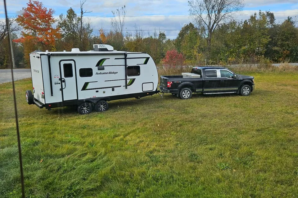 The Chihuahua Mobile