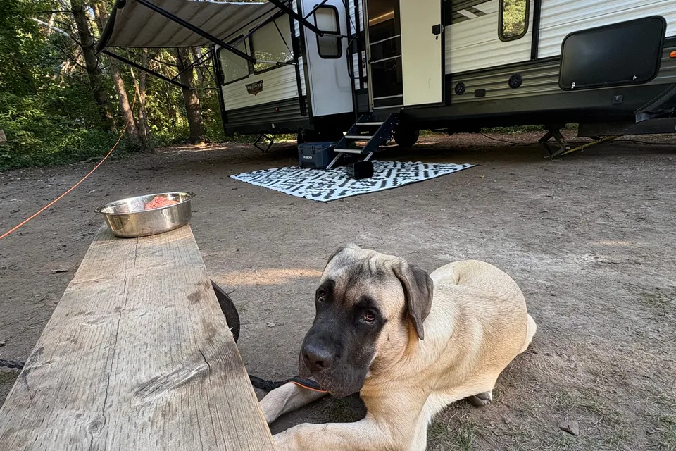 J & D's Wildwood Travel Trailer
