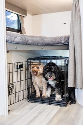 "Rocky" Forest River Rockwood Mini Lite 2509S Travel Trailer