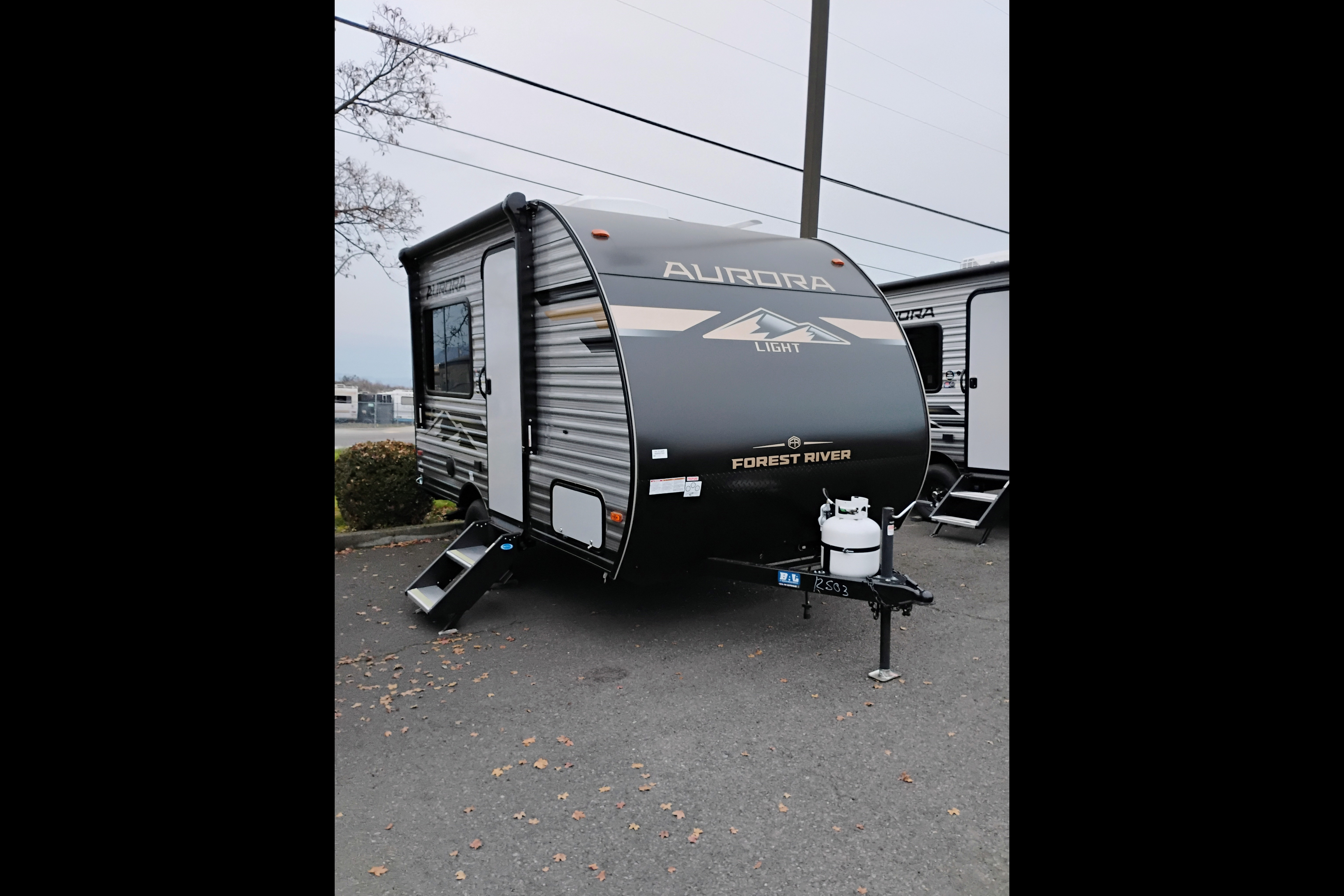 Dwayne's Forest River light RDX Travel Trailer