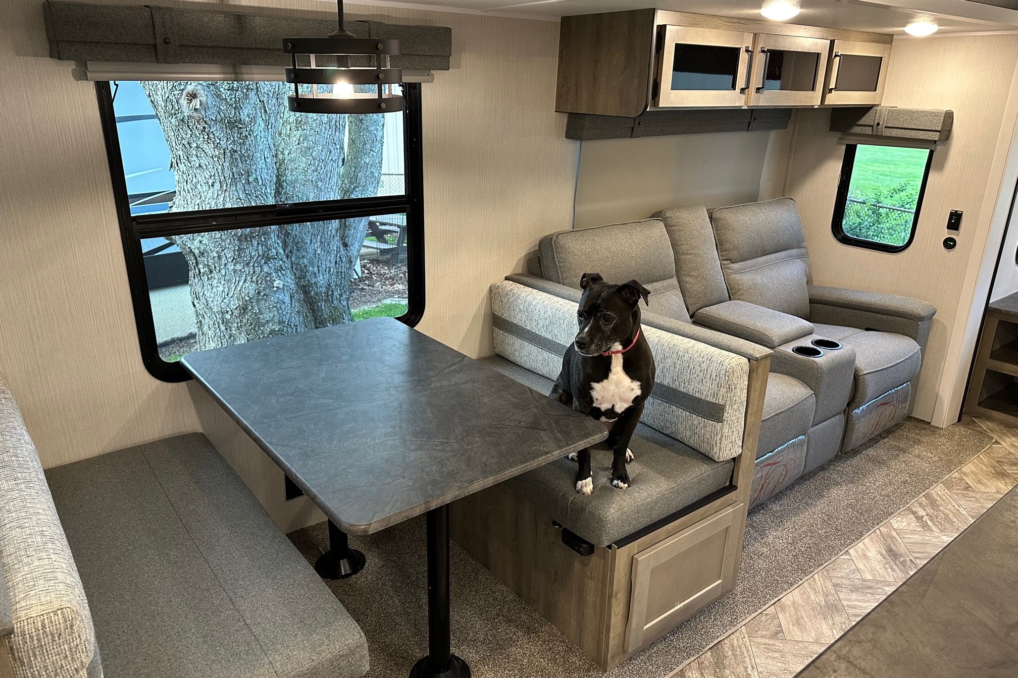 2023 Limited Edition Forest River Puma Palomino Travel Trailer
