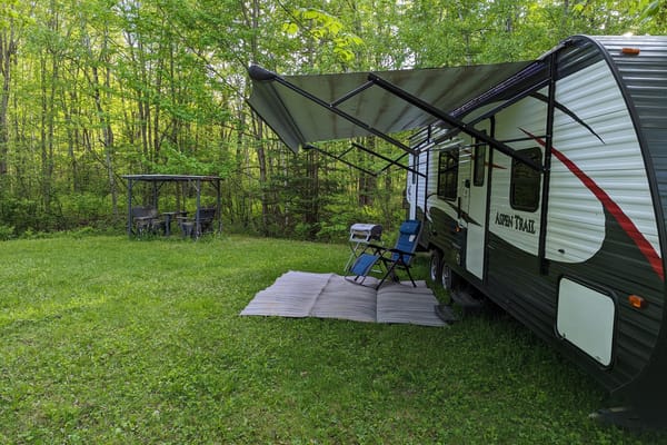 Se ressourcer en forêt
