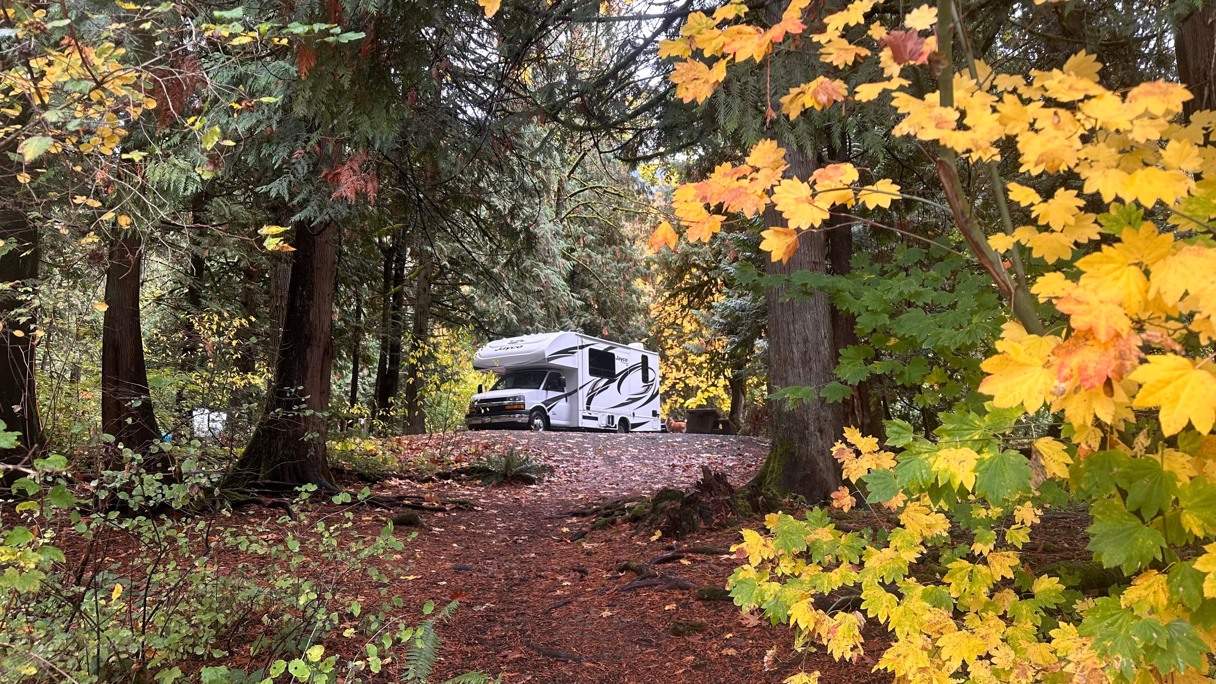 Go Vancouver-Jayco Redhwrk Class C