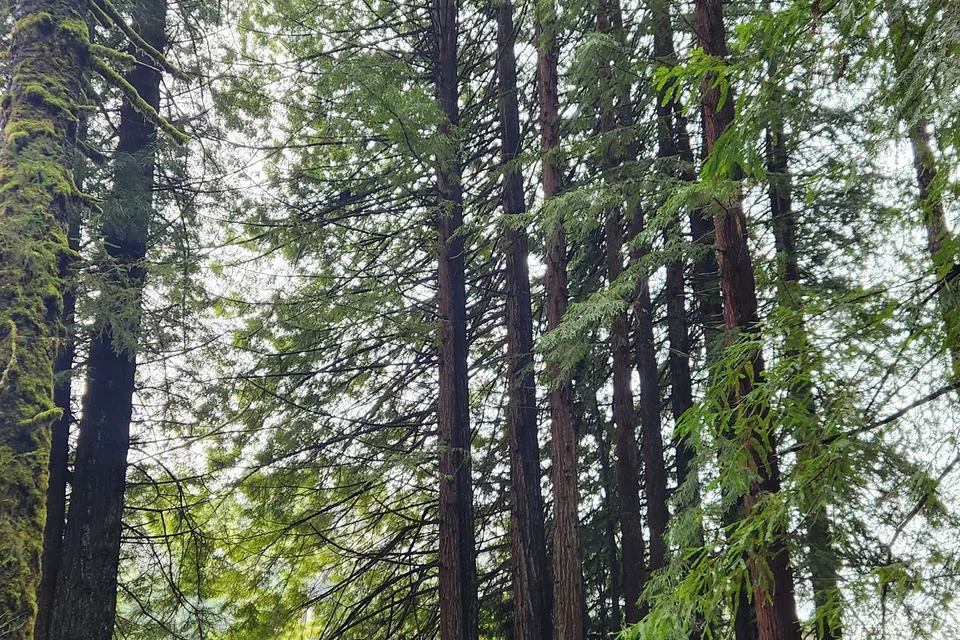 Leisure Travel Van Unity RL - PNW Glamping Easy for First Timers