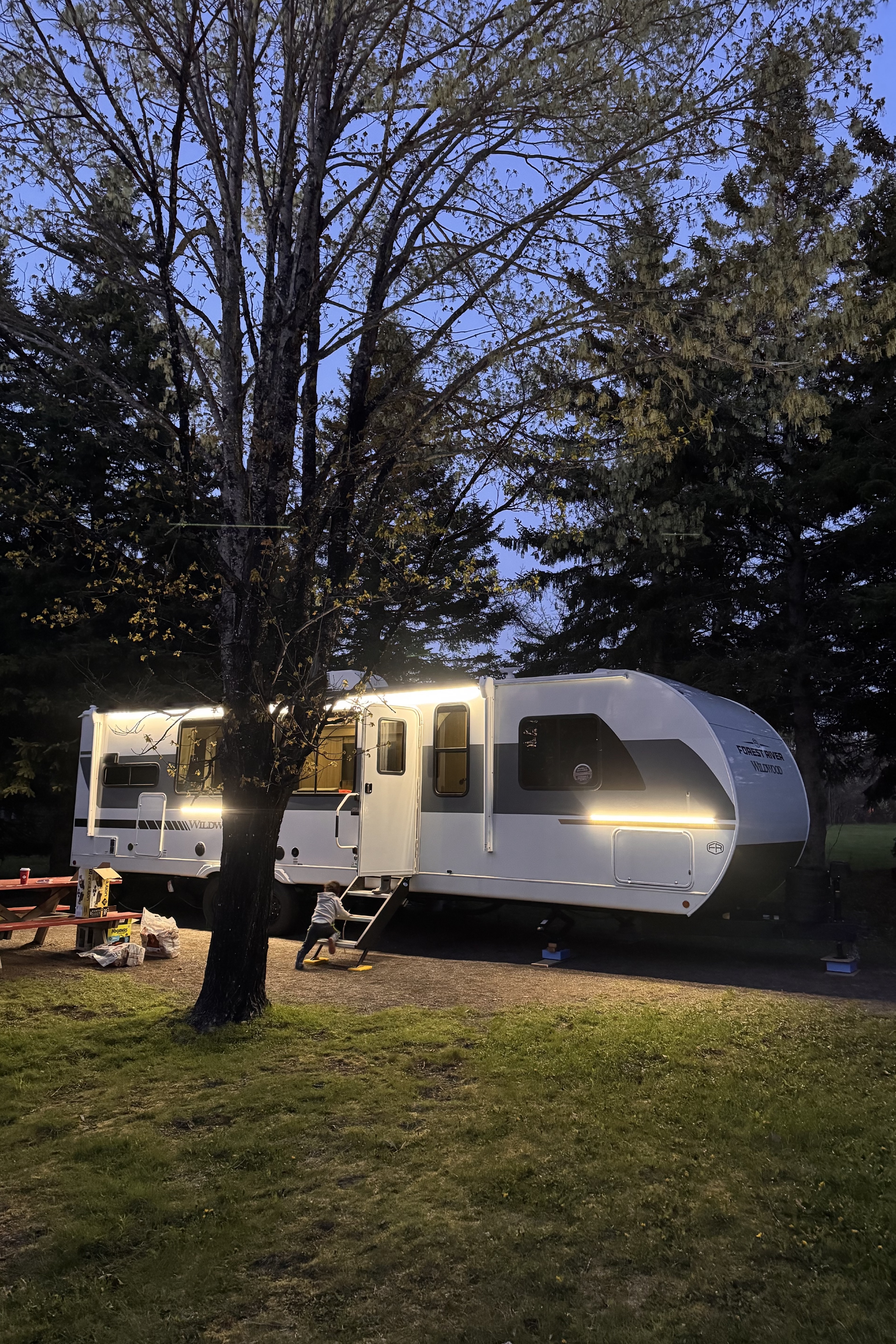 Paula's Forest River 29 View Travel Trailer