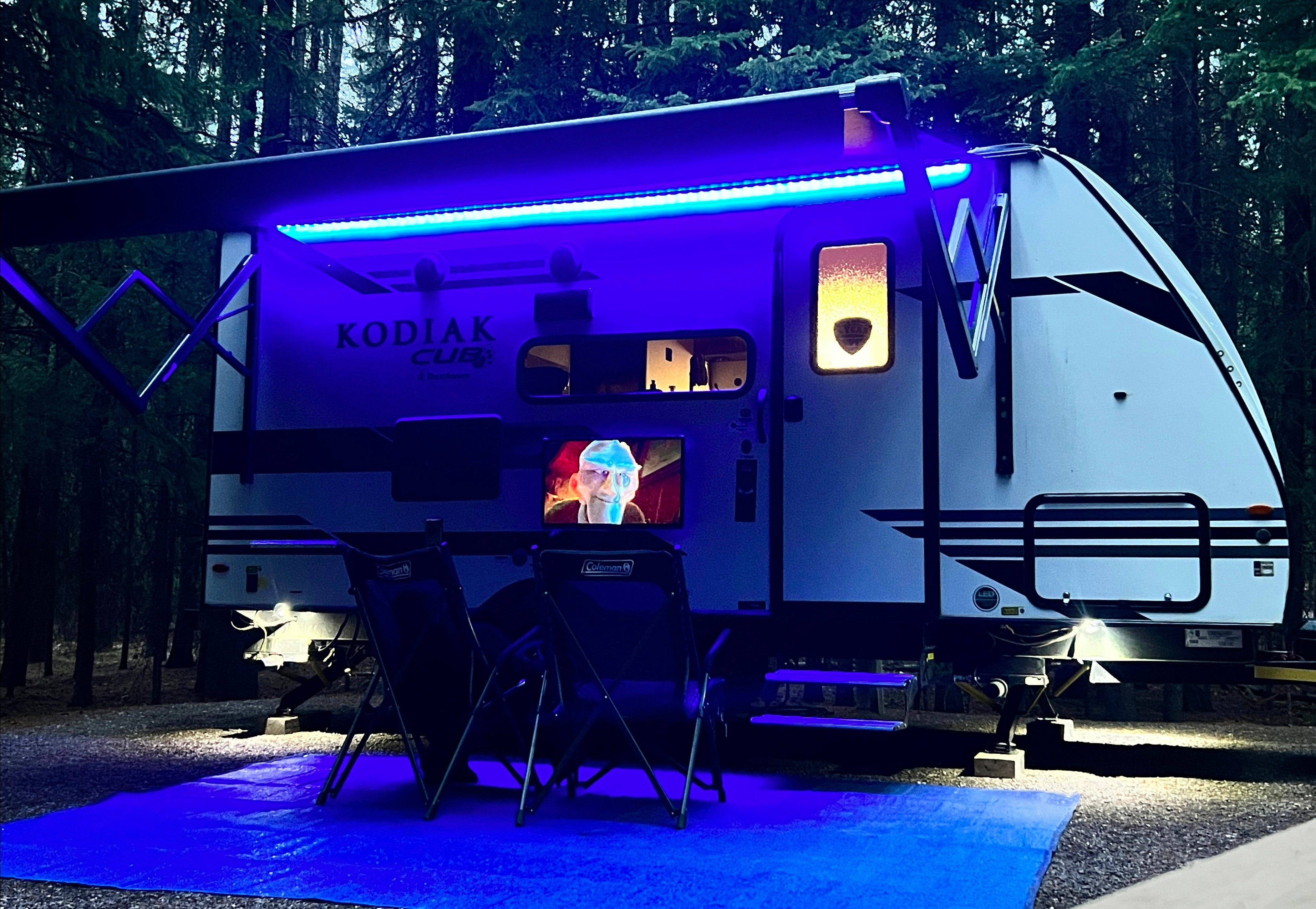 2021 User-Friendly Kodiak Cub