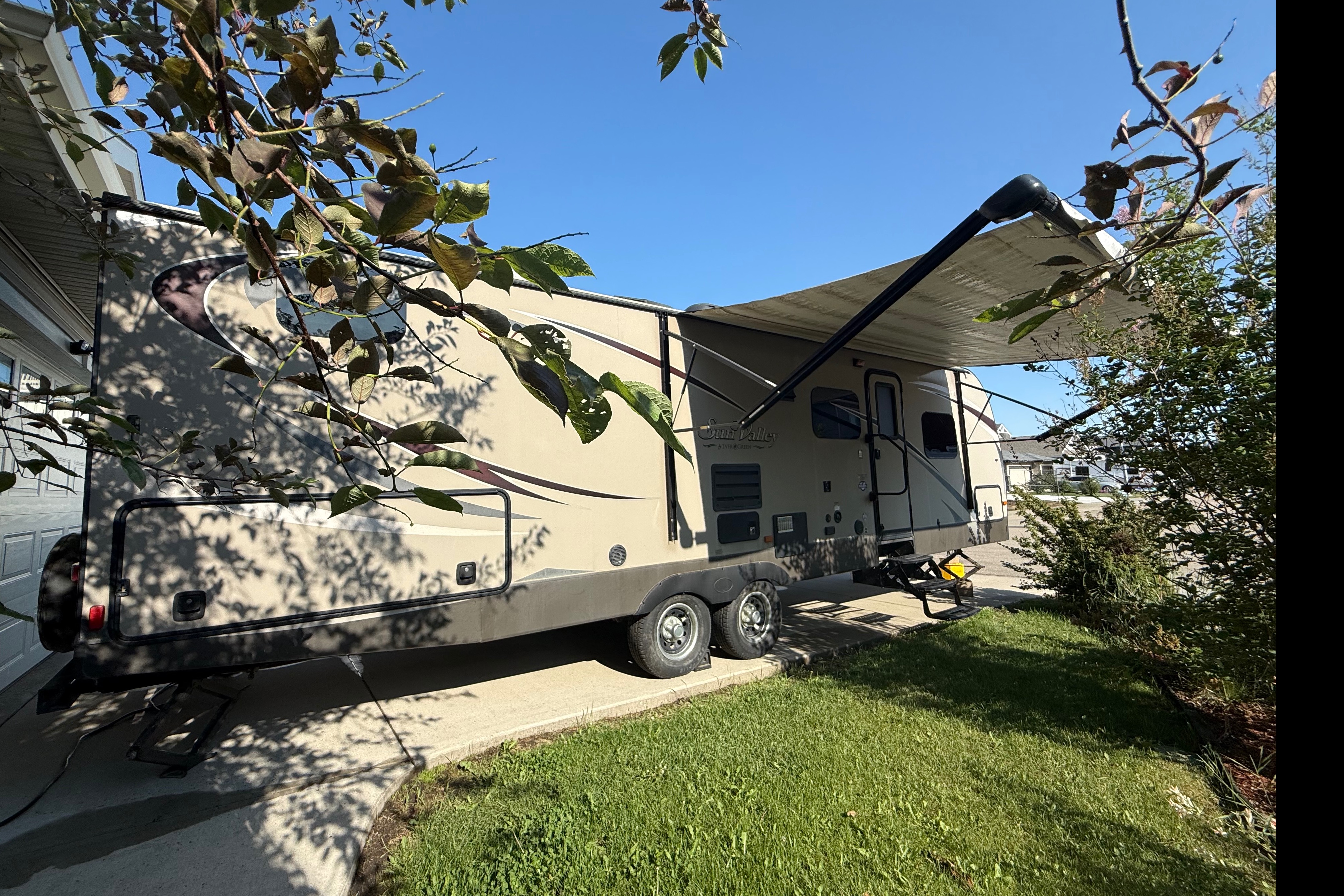 Daffodil Rv
