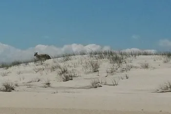 Salty, Sandy, Happy!