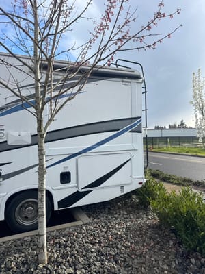 Mohammed's Thor Motor Coach Four winds Class C